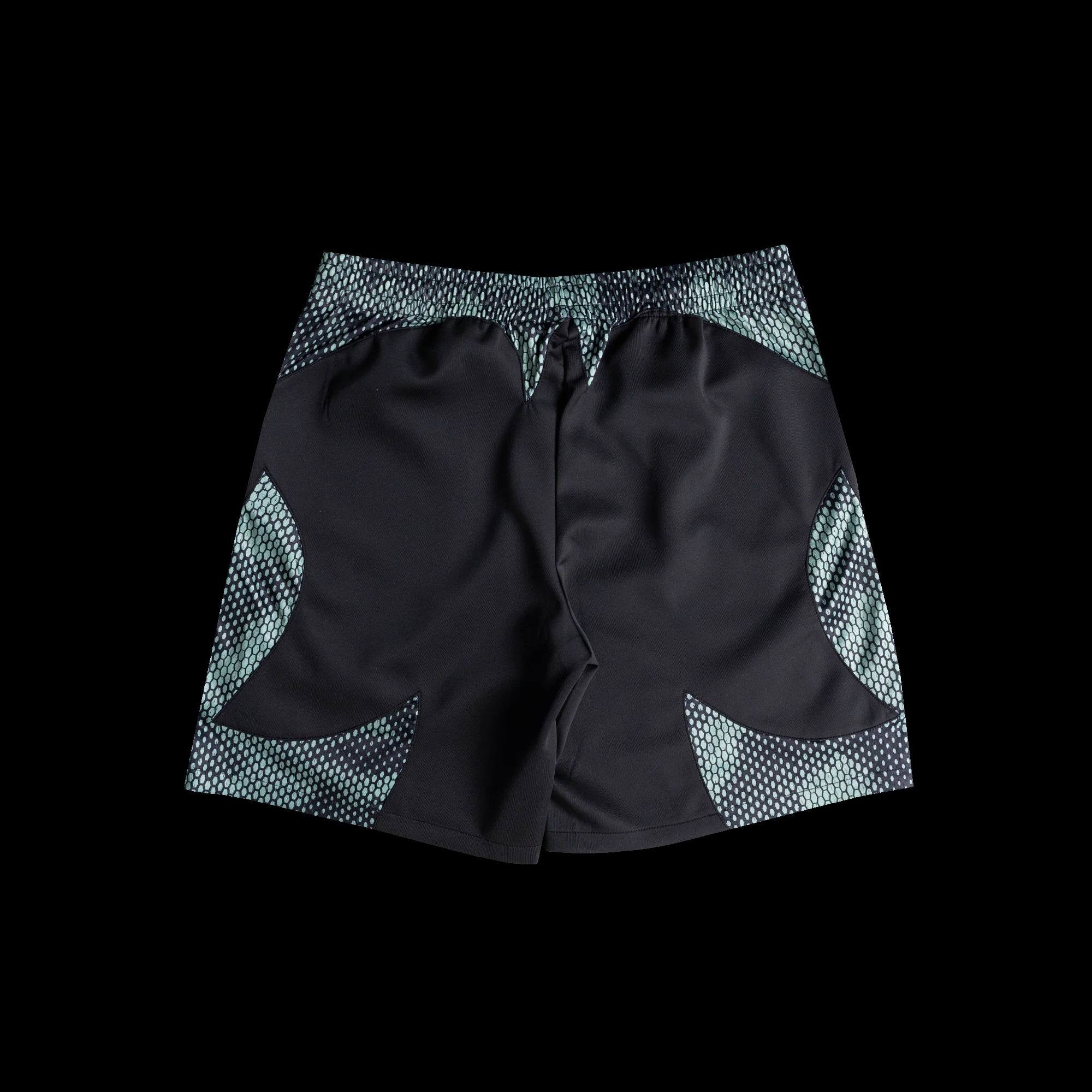 TNTCO VIPER PANTS BLACK