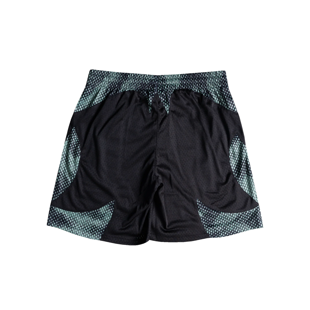 TNTCO VIPER BB PANTS BLACK