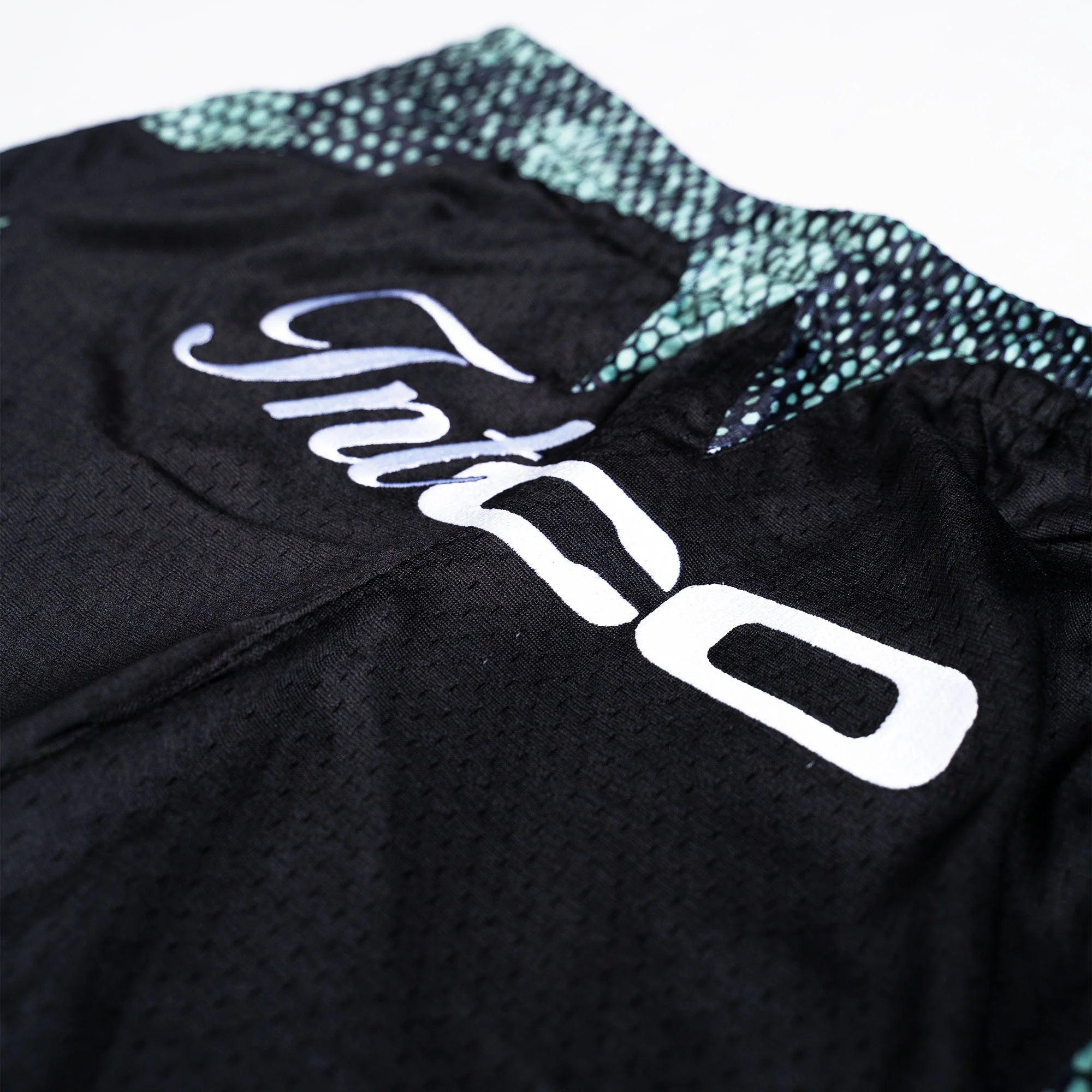 TNTCO VIPER BB PANTS BLACK