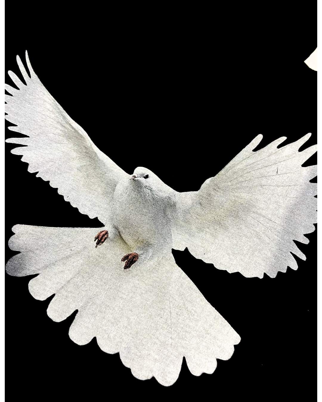 HYPED WHITES HOODIE BLACK