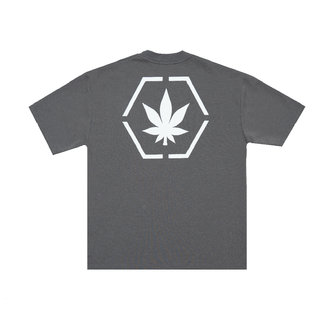 Stoned & Co. Genetic Hexagon Tee Grey