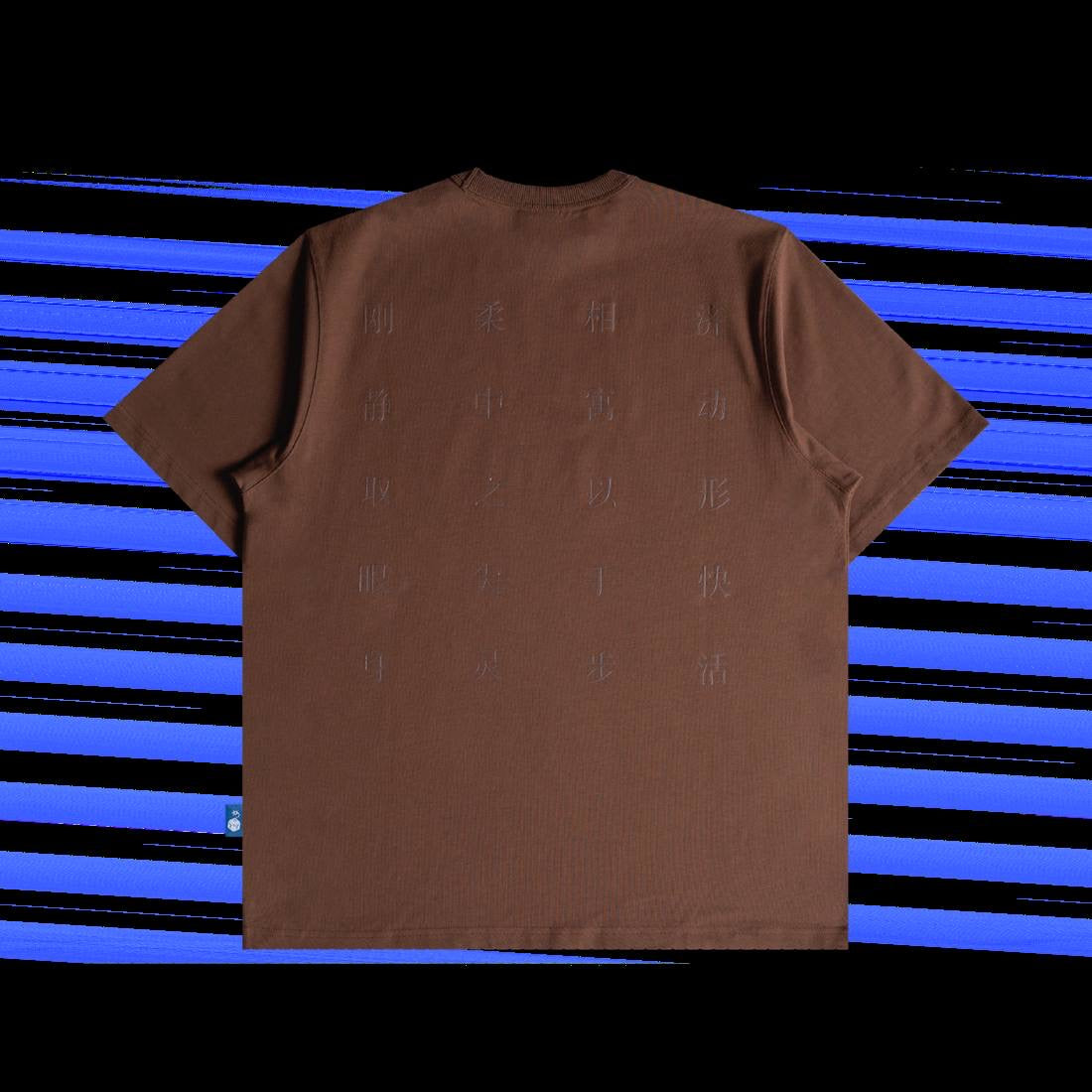 TNTCO SCRIPTURES TEE BROWN
