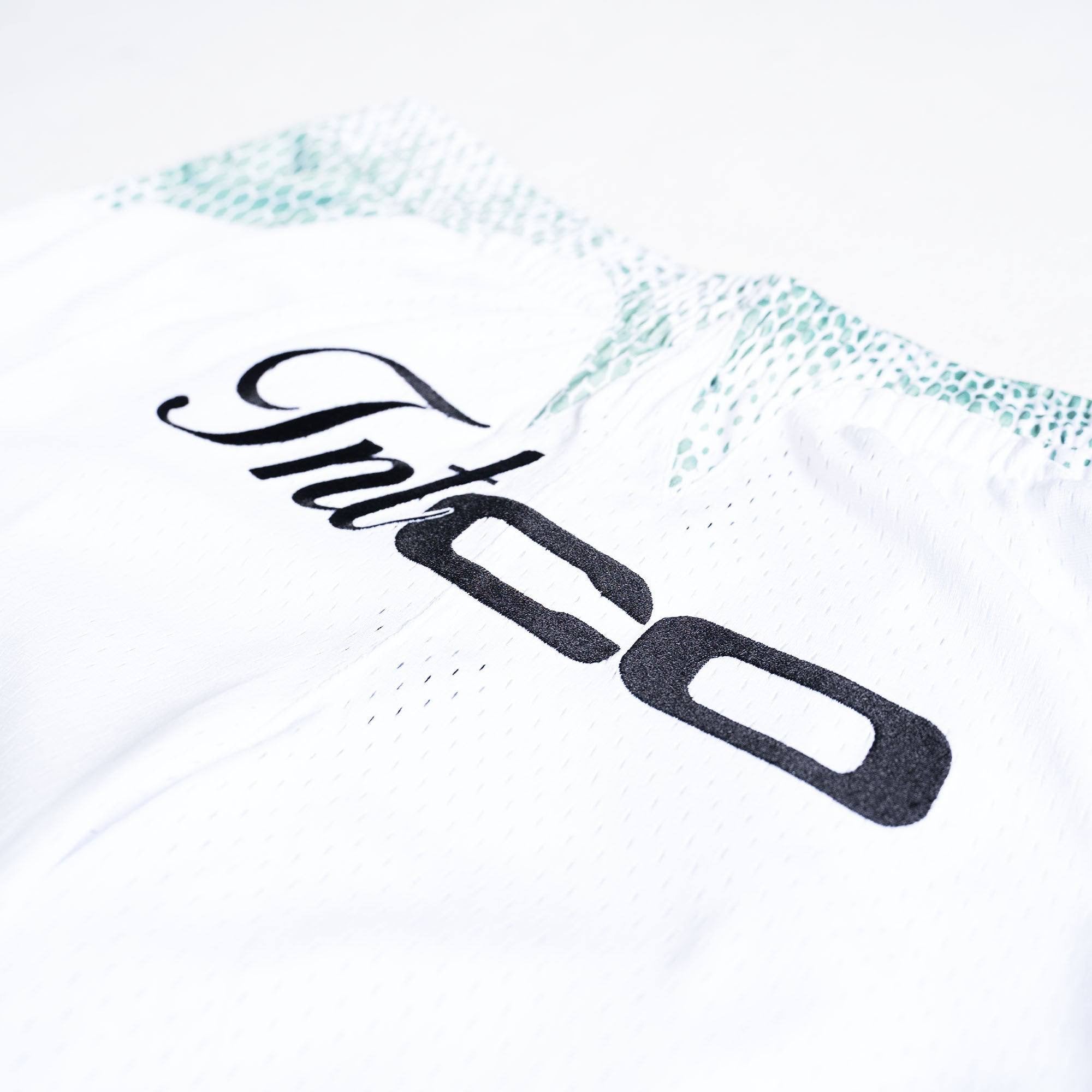 TNTCO VIPER FOOTBALL PANTS WHITE